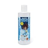 Knotty Boy Dreadlock Shampoo Liquid Shampoo 16oz / 470ml by Knotty Boy BEAUTY