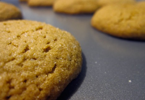 spice cookies on a cookie sheet