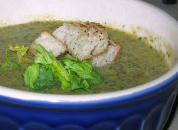 broccoli soup in a blue bowl 