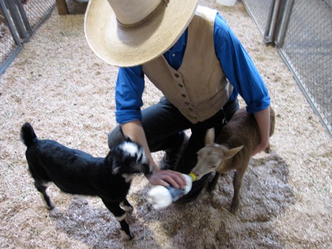 LA County Fair Foodie report – last chance for fun