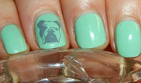A light blue nail polish with a bulldog nail tattoo