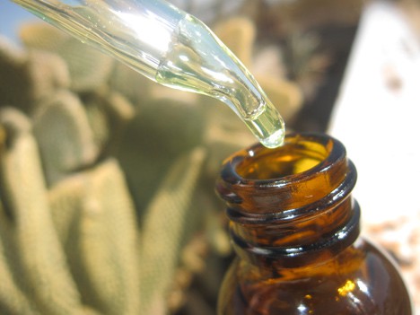 Dr. Dennis Gross Vitamin D Serum-Oil 