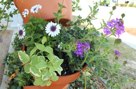 DIY flower planter