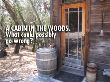 Summer Movie Series: Cabin Edition