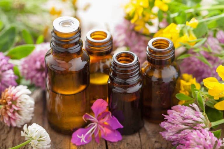 9 Essential Oils for Curly Hair You Need To Try
