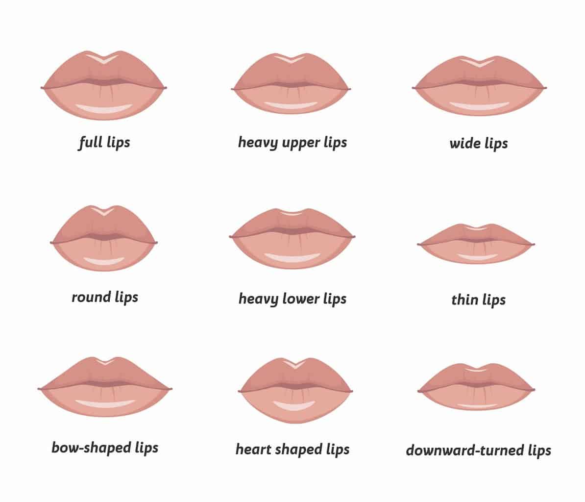 graphic of various types of lips 