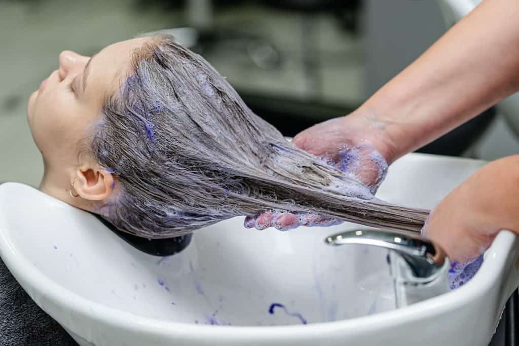 a hair stylist washing the hair of her client with purple shampoo after bleaching in a white riser