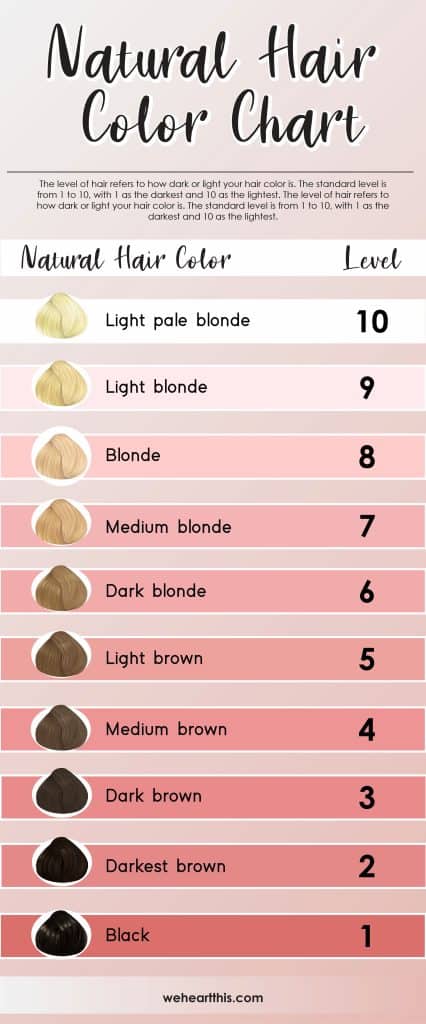 infographic of the natural hair color from level 10 to 1