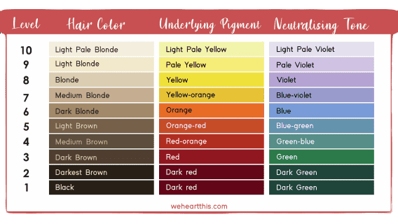 an infographic of hair color levels from 10 to 1 with their respective underlying pigment and neutralising tone