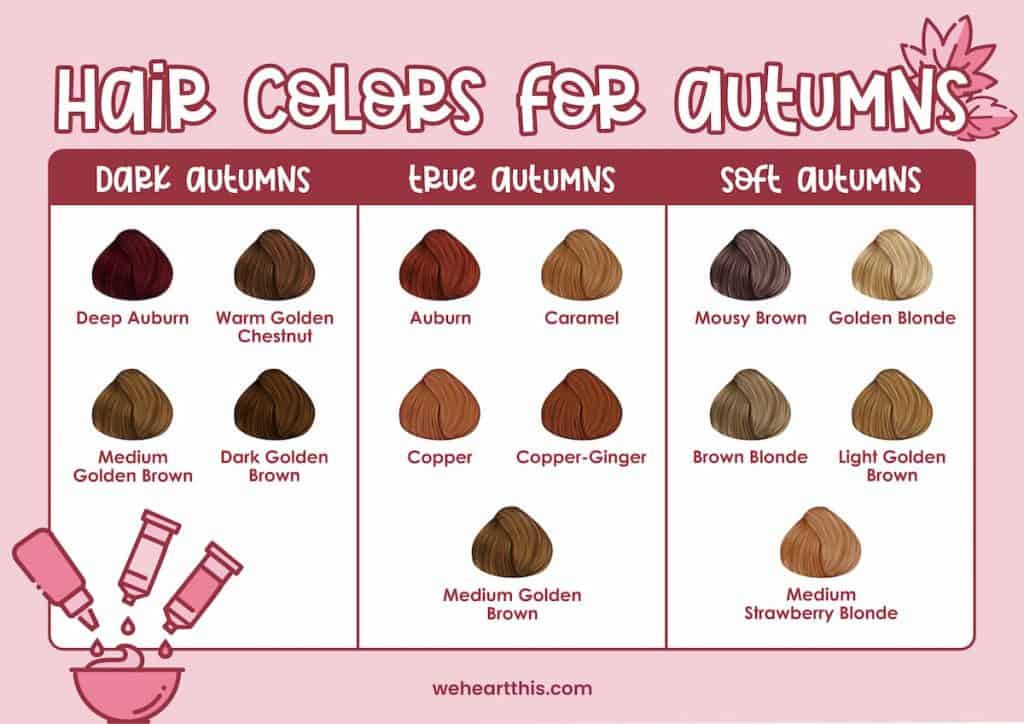 An infographic featuring hair color for autumns such as dark, true, and soft autumns hair colors