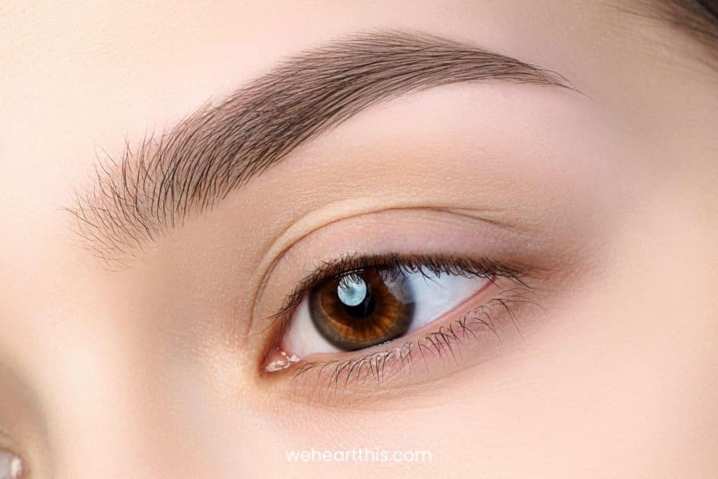a close up image of a woman with medium length eyelids