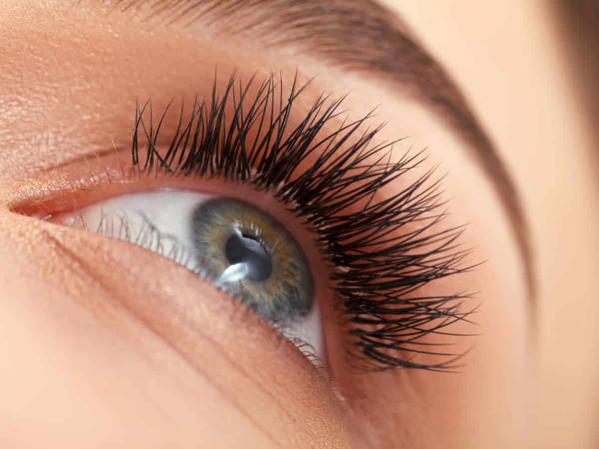 Argan Oil For Eyelashes Does It Help Your Lashes Grow?