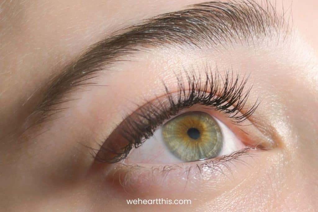 a close up image of a girl's green eyes with natural eyelash extensions
