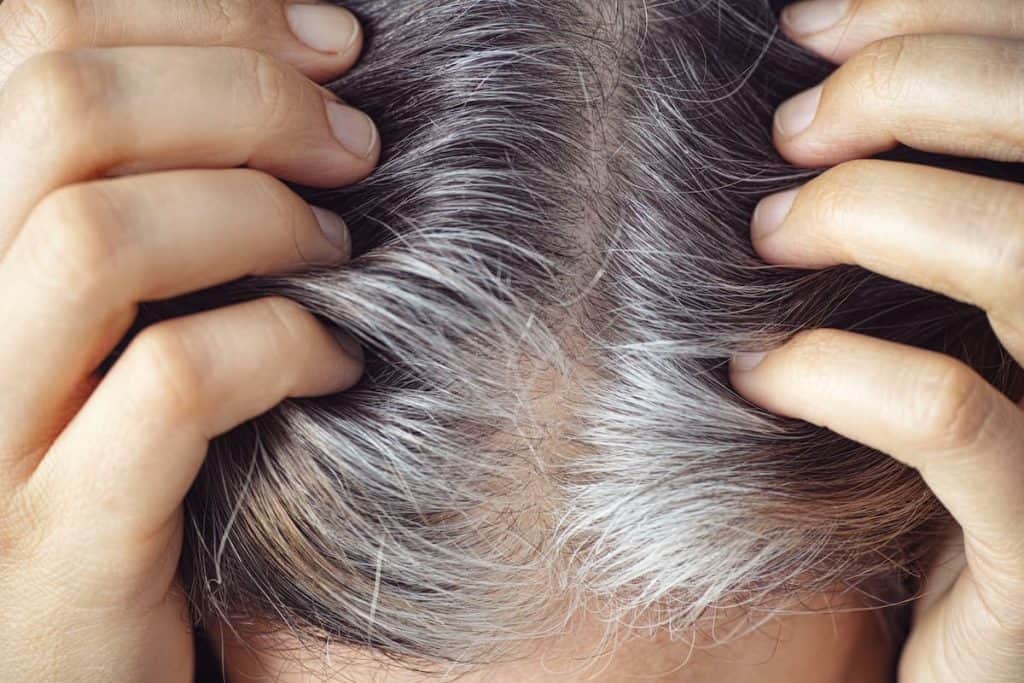 a close-up image of a woman touching her gray hair roots