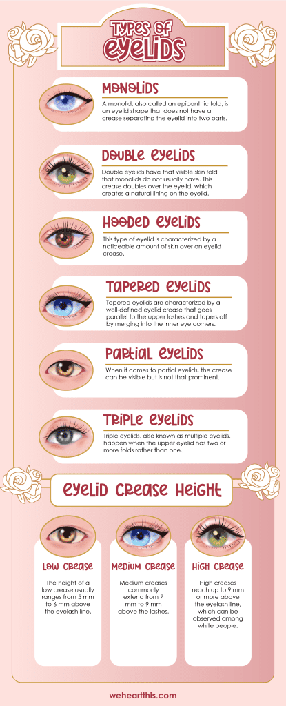 infographic about different types of eyelids