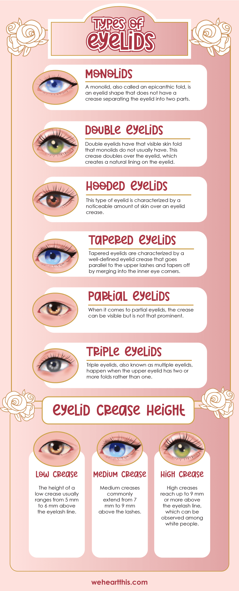 What Are The Different Types Of Eyelids Easy Eye Makeup Tips 