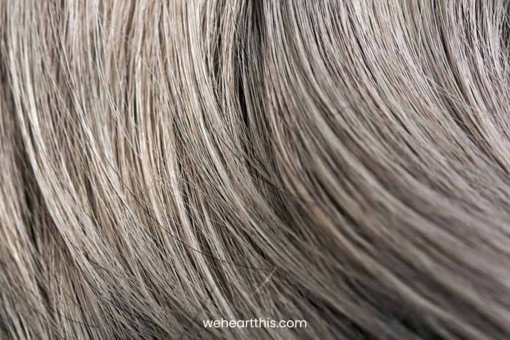 a close-up image of color gray hair strands