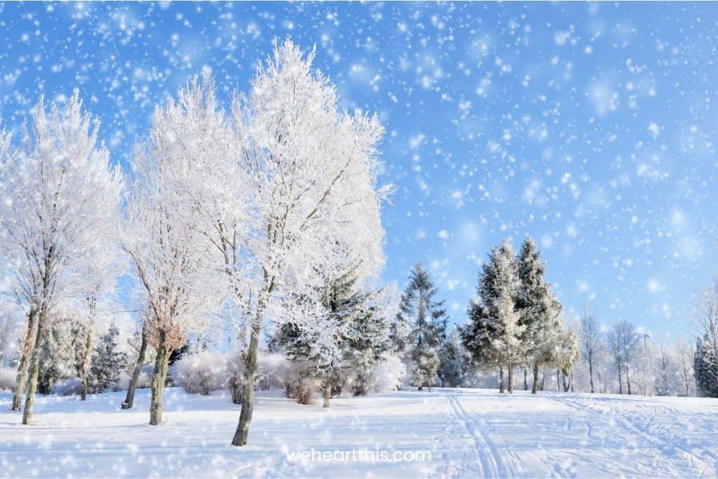 A beautiful winter landscape with snow falling 