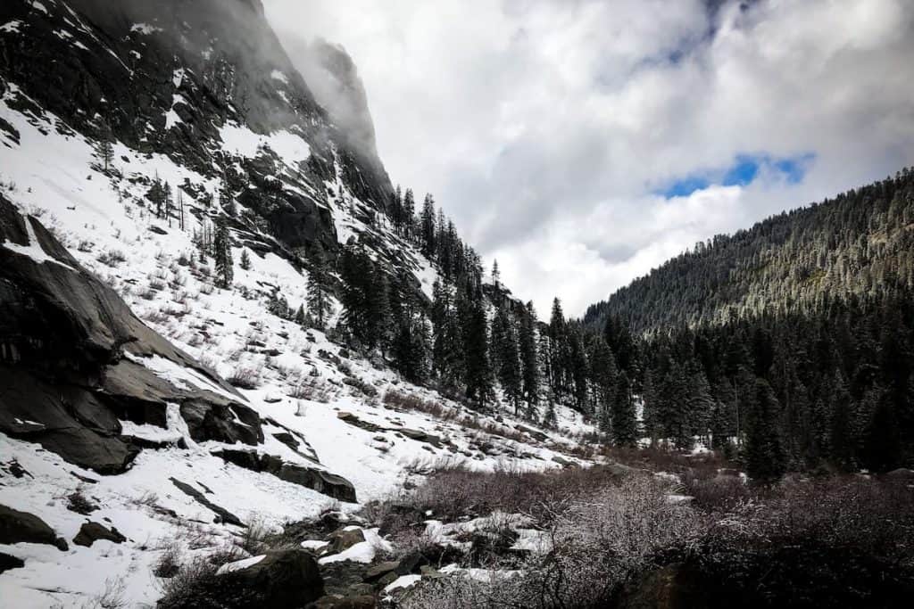 A snow covered mountain with trees in the background.