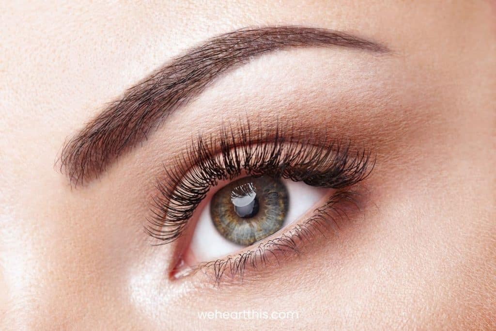 Closeup of a female Eye with Extreme Long False Eyelashes 