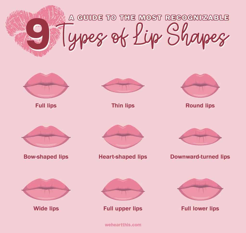 An infographic about a guide to the most recognizable 9 types of lip shapes 