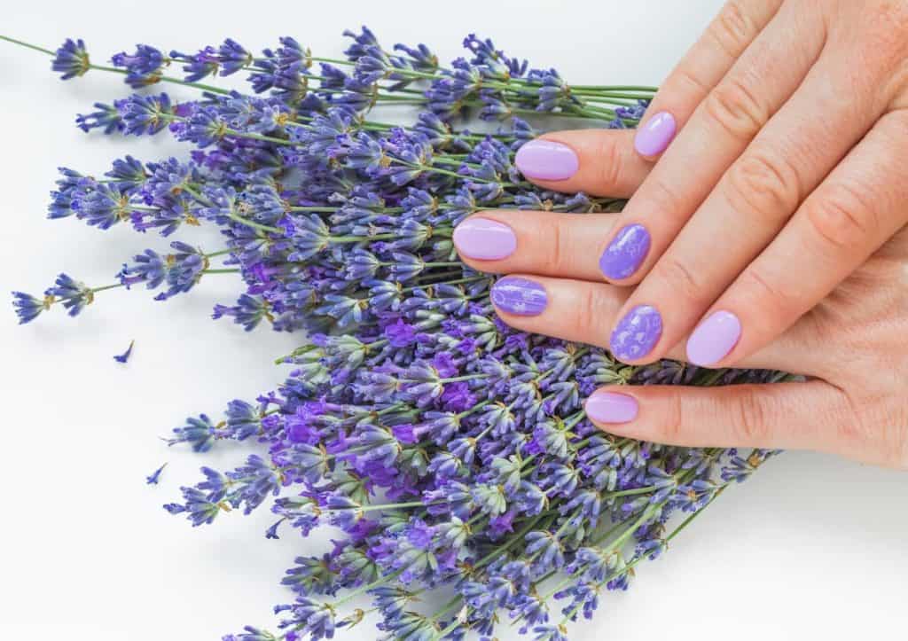 A woman's hands on top of lavender flowers with a light and deep lavender nail art 