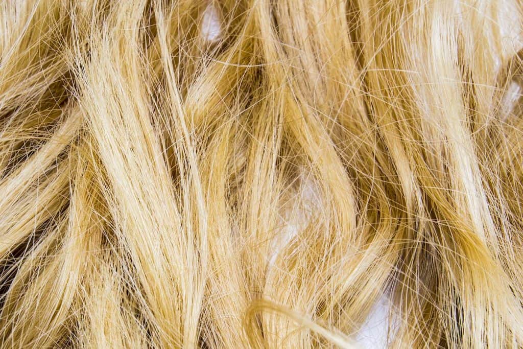 A close up of a woman's blonde hair with yellow tint 
