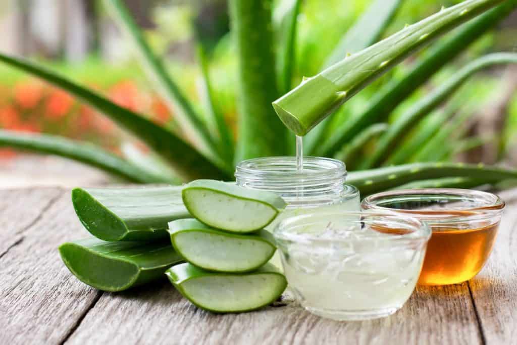 Aloe vera and oil on a wooden table.