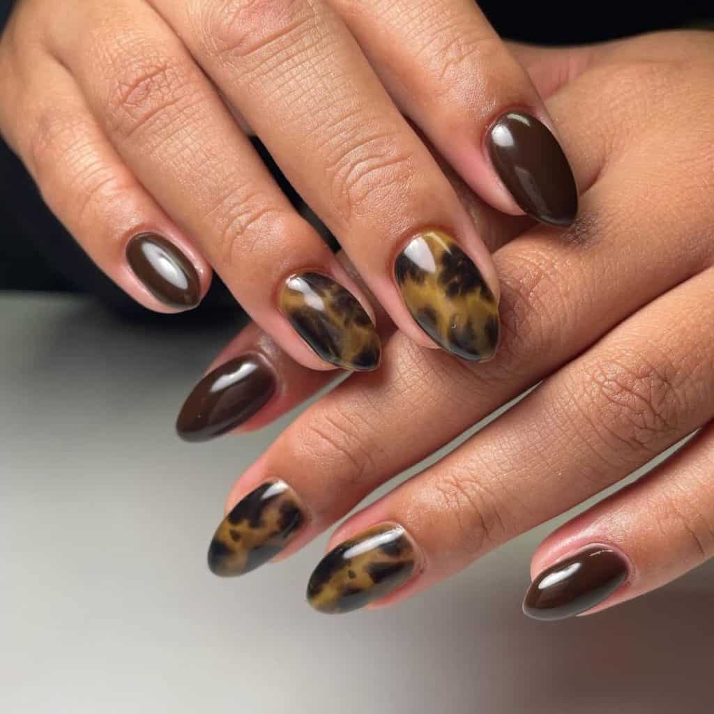 A woman's hands with short almond tortoiseshell nails enveloped in a rich chocolate